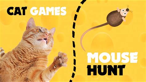 Cat Games Mouse Hunt Games On Screen For Cats Youtube