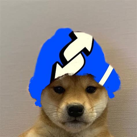 Doge 1080x1080 Gamerpics With Hair