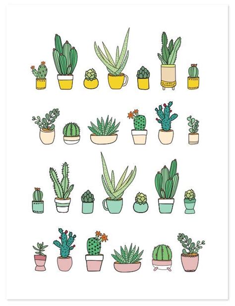 Succulents Print Succulents Drawing Cactus Drawing Plant Drawing