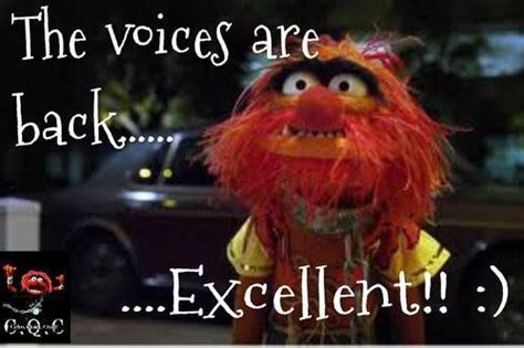 Awesome Funny Quotes Mystuff Animal Muppet The Muppet Show Funny