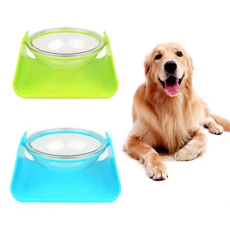 Buy Plastic Inclined Dog Bowl Pet Feeding Bowls