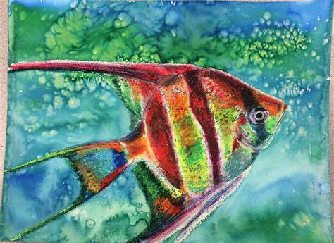 Angel Fish Oil Pastel With Watercolor Wash By Kathy Mcmillan Oil