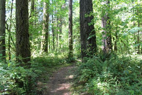We accomplish this by soliciting, collecting, rescuing, growing, preparing and packaging food for distribution through a network of 163 social service agencies and programs. Salmon Creek Falls Trail