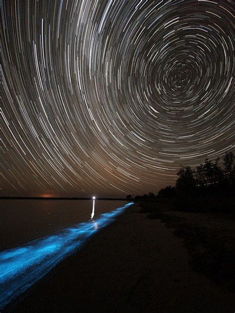 Bioluminescent Lake Glows Blue In Australia