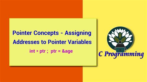 1 Pointer Concepts Assigning Addresses To Pointer Variables Youtube