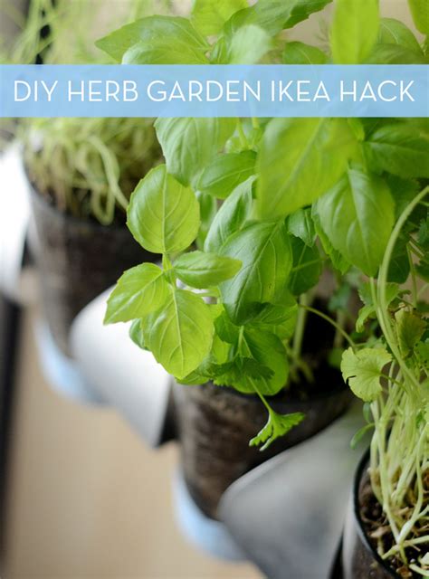 Indoor Herb Garden Diy Wall Mounted Herb Planter Ikea Hack