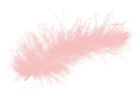 Pink Feather Png Transparent Png Mart