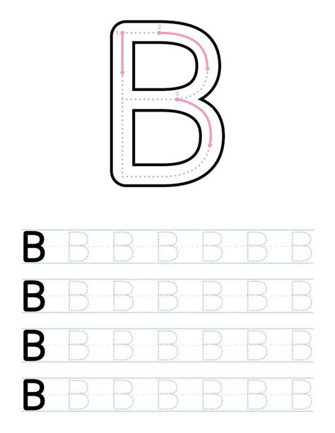 Tracing Uppercase Letter B Worksheet For Kids 5947973 Vector Art At