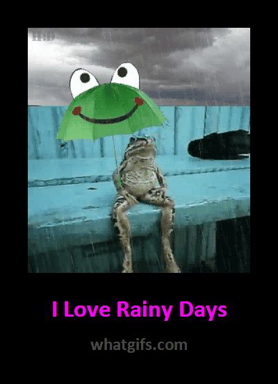 I Love Rainy Days Funny Animal S Rainy Days Animated Images Rainy