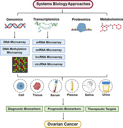 Frontiers Applications Of Multi Omics Approaches For Exploring The