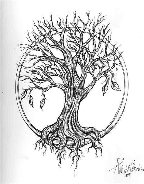 Drawing weeping willow tree leaves. Weeping Willow Tree Sketch at PaintingValley.com | Explore ...