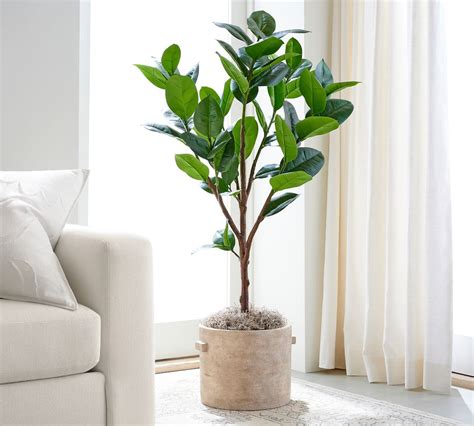 You can also play around with pot designs and colors that match your overall décor and find. Faux Potted Rubber Tree | Pottery Barn