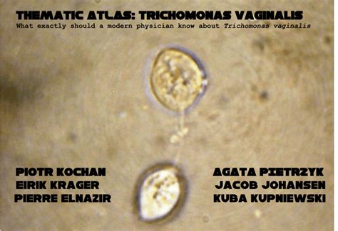 Pdf Atlas Trichomonas Vaginalis What A Modern Day Physician Should