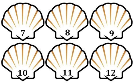 Seashell Template Free Printable Clipart Best