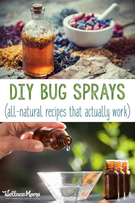We'll discuss how the ingredients work to repel bugs as well. Homemade Bug Spray Recipes That Work | Wellness Mama