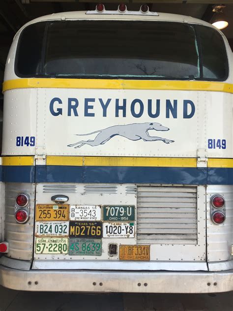 Scenicruiser Greyhound Bus Bus City Bus Coach