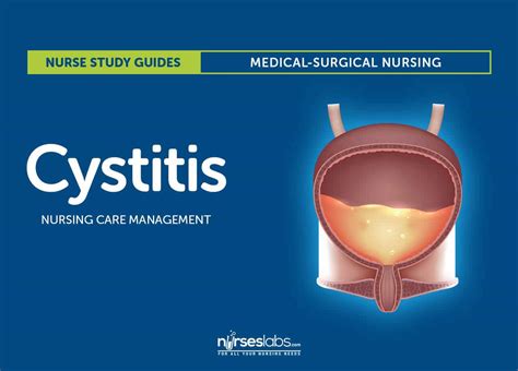 Cystitis Nursing Care And Management Study Guide