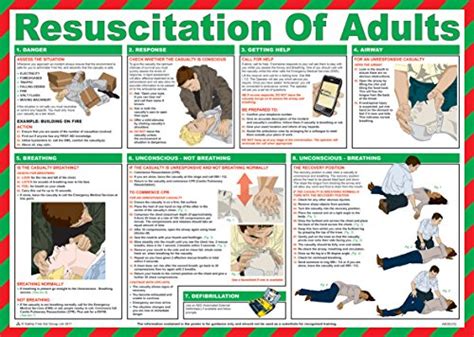 buy safety first aid laminated resuscitation of adults online at desertcartjapan