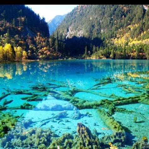 Crystalline Turquoise Lake Jiuzhaigou National Park China Beautiful