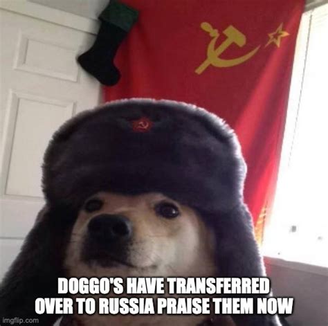 The Russian Doggo Imgflip