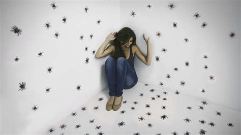 I hope this helps, being afraid of spiders is truly awful. Spiders Be Gone! This September Keep The Creepy Crawlies ...