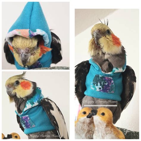 Hoodie Birdie Pet Parrot Bird Hoodie For African Grey Eclectus Etsy