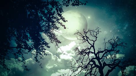 Nature Hd Wallpapers 1080p Widescreen 56 Images