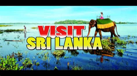 Visit Sri Lanka 4k Youtube