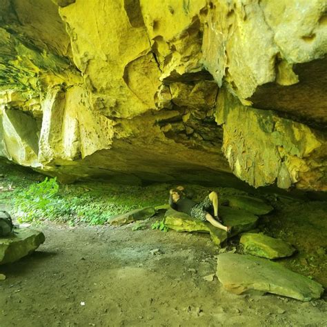 See tips for hiking, camping, and more. 5 Things You Need to do in Daniel Boone National Forest.