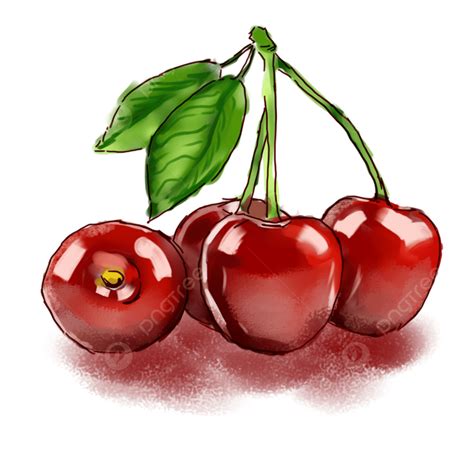 Cherry Fruit Clipart Hd Png Fruit Cherry Hand Painted Decoration