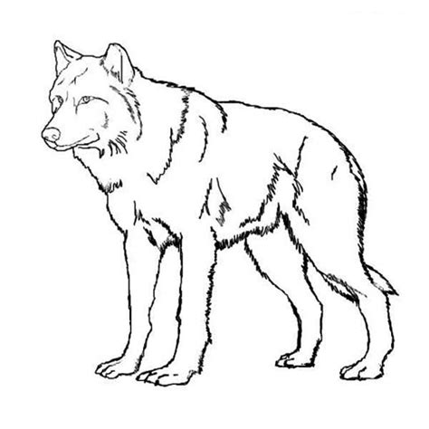 Wolfs Coloring Pages At Getcolorings Free Printable Colorings