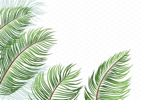 Palm Leaves On White Background Pre Designed Illustrator Graphics