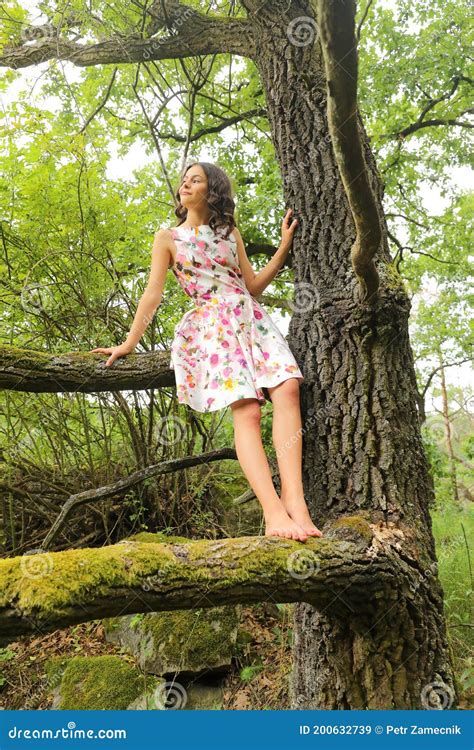 Teenage Girl Sitting On Branch Of An Old Tree Stock Image Image Of