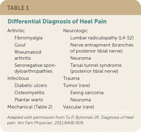 Heel Pain Diagnosis And Management Aafp