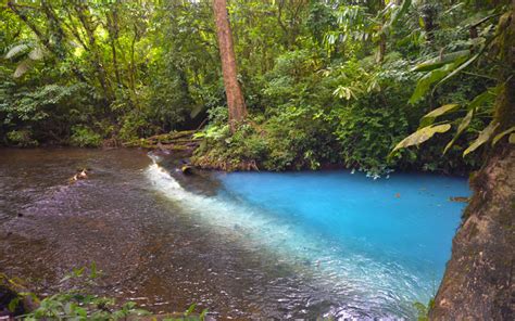 How To Get To Rio Celeste Costa Rica Amazing Blue Water A Scenic Find