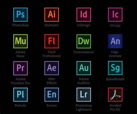 Understanding Adobe Suite For Beginners