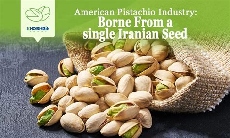 American Pistachio Industry Borne From A Single Iranian Seed