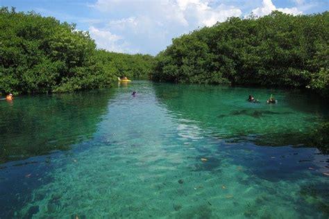 Casa Cenote Manatí Tankah Divers Underground