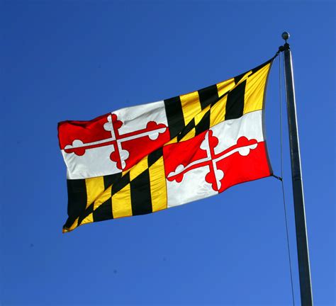 Mesmerizing Or A Hot Mess Why Marylands State Flag Looks So