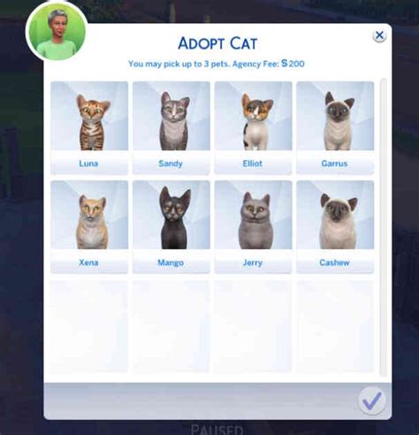 How Do You Adopt A Pet In Sims 4 Petswall