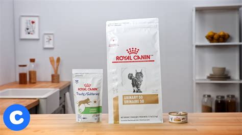 Similar to its wet cat food alternative, it upholds a feline's urinary ph and is great for reducing bloody urine, along with giving way to a shiny coat and healthier skin! Royal Canin Urinary SO Cat Food | Chewy - YouTube