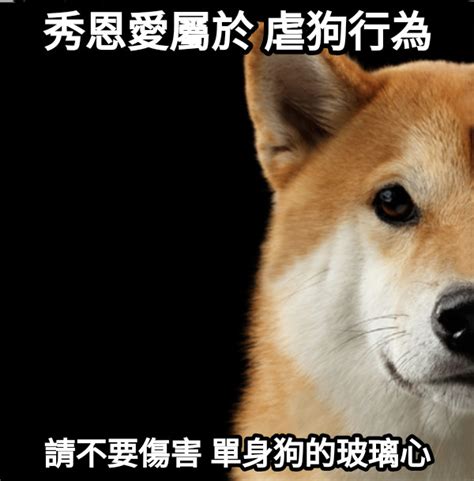 名站推薦 tips：2021年6月24日 已更新失效連結 total 13 ». 【單身狗梗圖合集】單身狗的大家們，要好好的唷