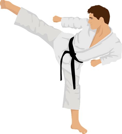 Karate Fighter Clipart Free Download Transparent Png Creazilla