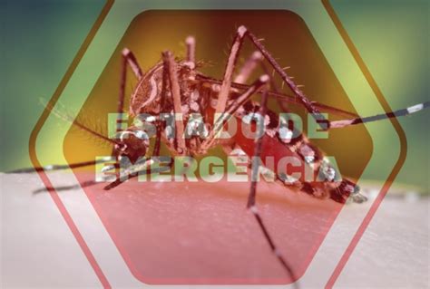 Por Causa De Epidemia De Dengue Euzebio Decreta Estado De Emerg Ncia Em Nova Serrana Jornal O