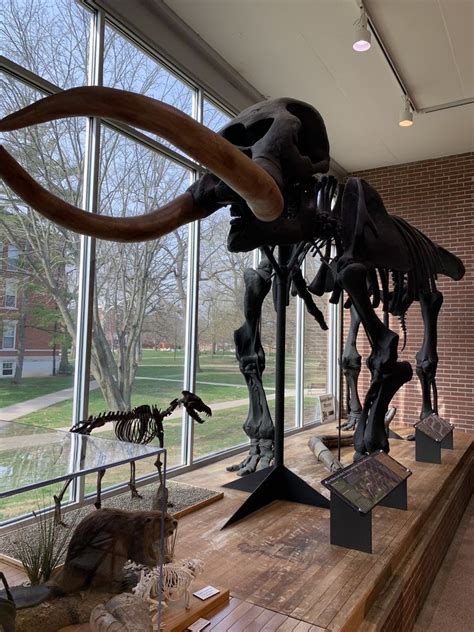 Joseph Moore Museum