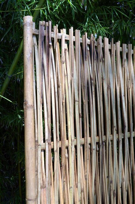 Do you wanna see this or this when you walk out the back door? Bamboo Screen | Bamboo screening, Outdoor lighting ...