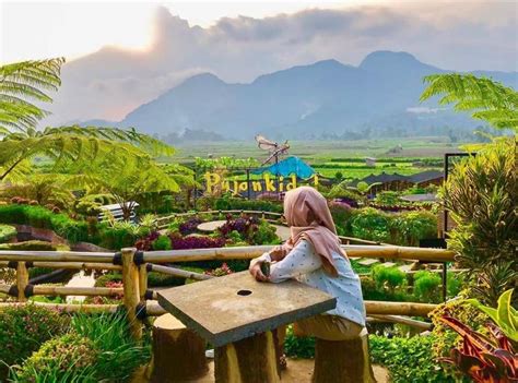 Namun demikian, menurut dia, curah hujan sebagian besar wilayah di jawa tengah tetap normal. Lokasi dan Harga Tiket Masuk Cafe Sawah Pujon Malang ...