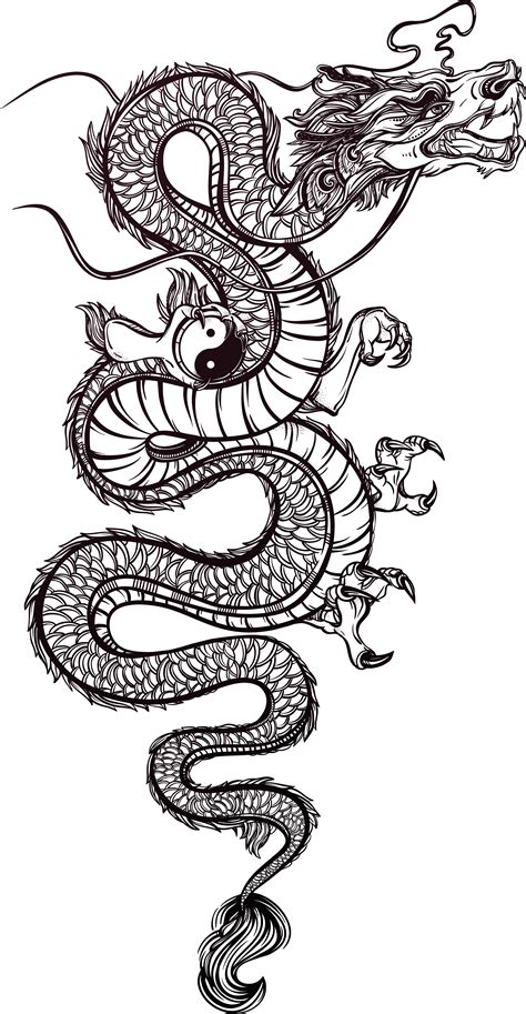 Chinese Dragon China Japanese Dragon Tattoo China Dragon Monochrome