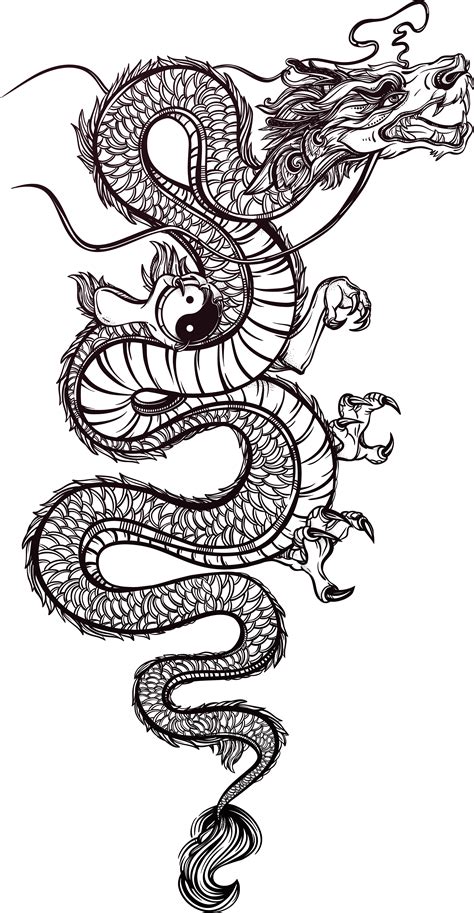 Download Tattoo Chinese Illustration Dragon Vector Hand-Painted HQ PNG
