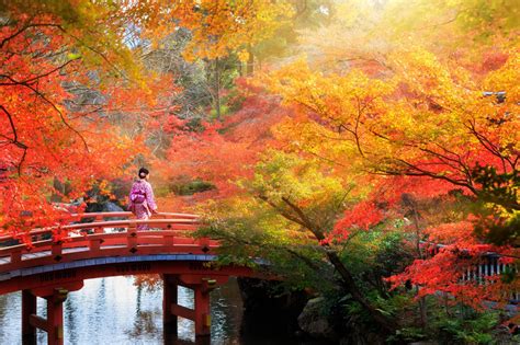 Kyoto Giappone Informazioni Per Visitare La Città Lonely Planet